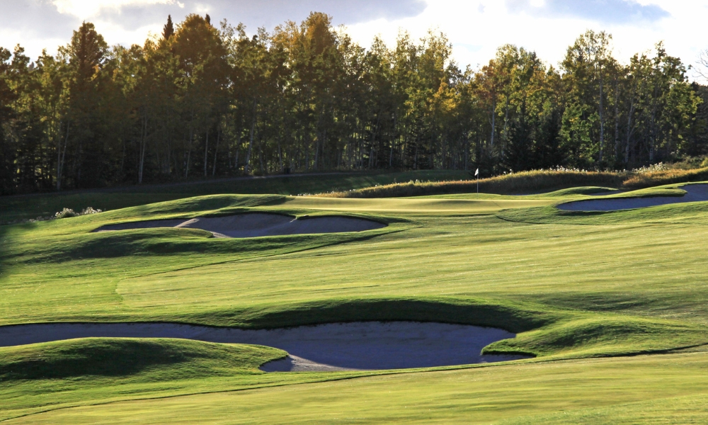 Website_Gallery_-_Raven_(3)