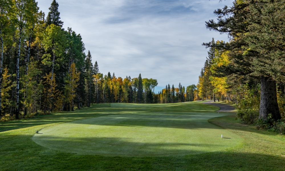 Website_Gallery_-_Raven_(2)