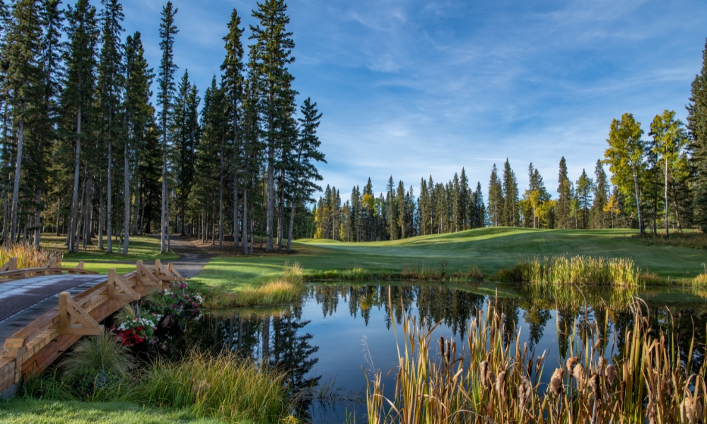 Website_Gallery_-_Raven