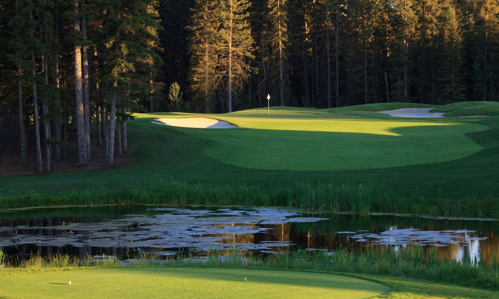 Website_Gallery_-_Raven_(11)