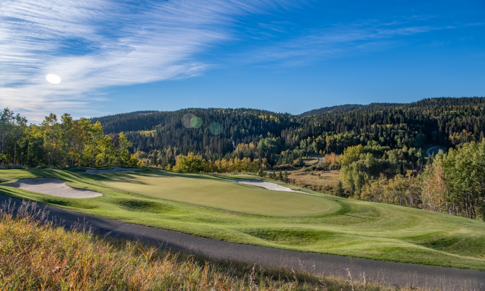 Website_Gallery_-_Raven_(4)