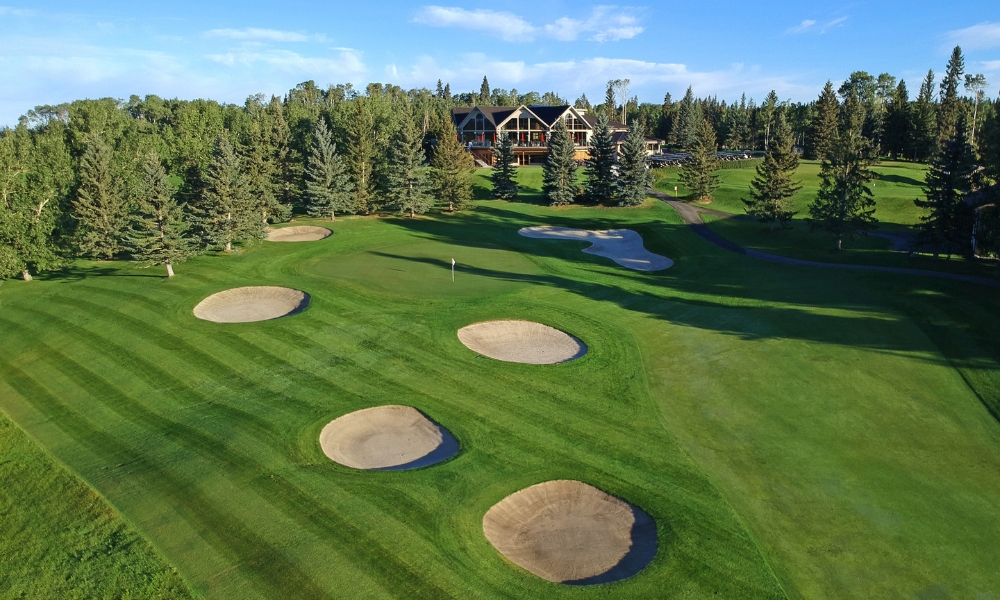 Website_Gallery_-_Raven_(7)