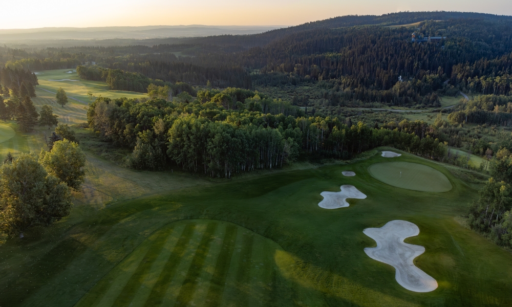 Website_Gallery_-_Raven_(5)