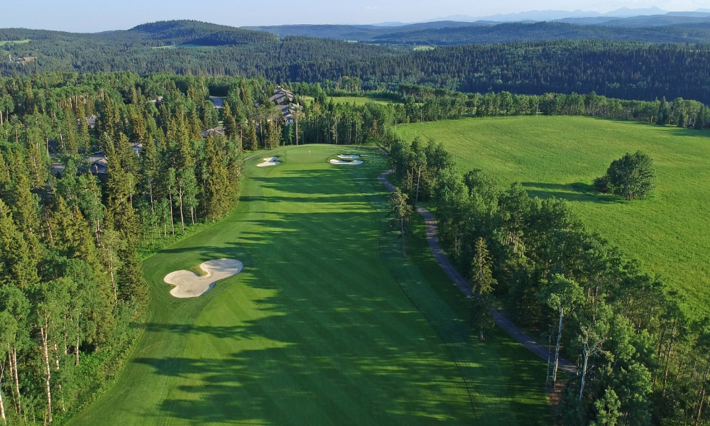 Website_Gallery_-_Raven_(9)