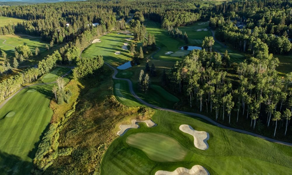 Website_Gallery_-_Raven_(8)