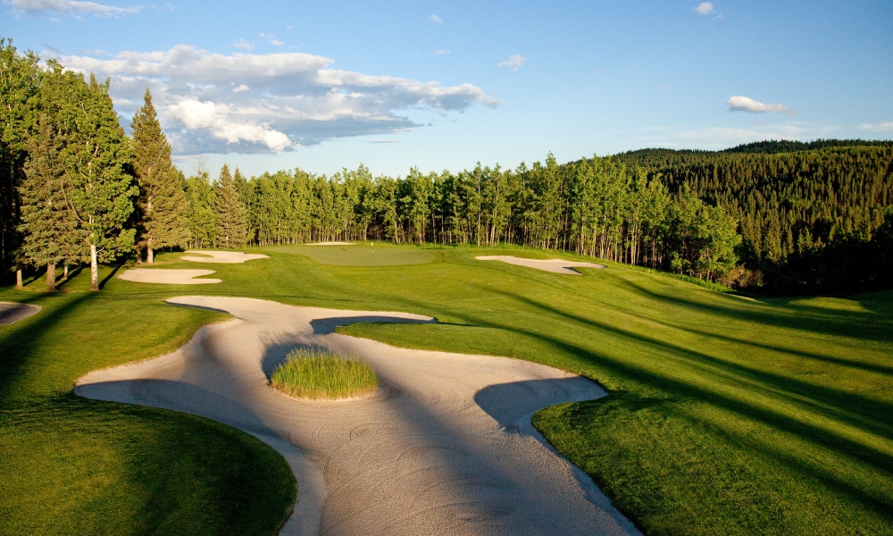 Website_Gallery_-_Raven_(1)